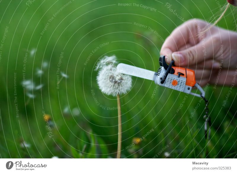 Abgeholzt Gartenarbeit Werkzeug Erneuerbare Energie Umwelt Natur Pflanze Erde Klimawandel Gras Blüte Wildpflanze Wiese Kettensäge Blühend verblüht natürlich