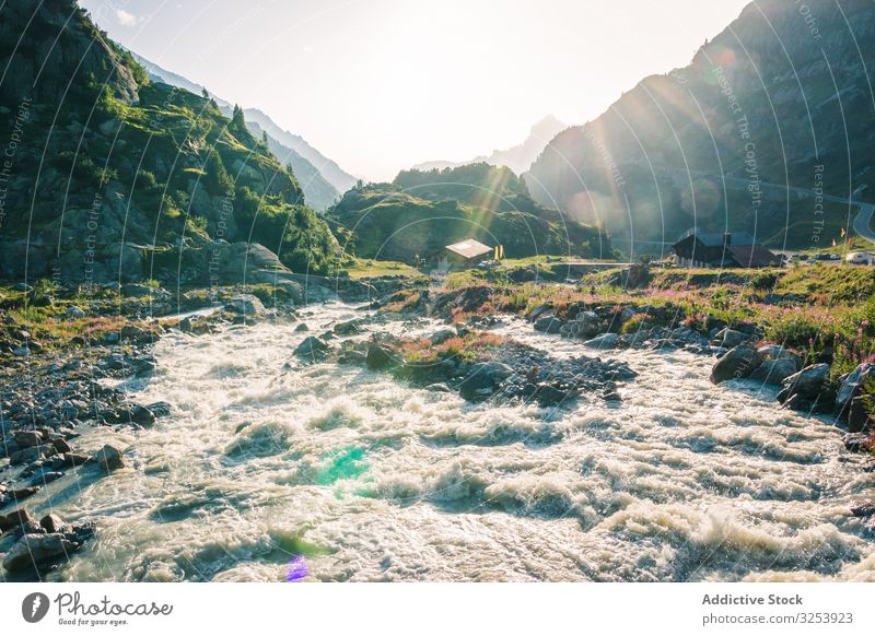 Schaumiger Gebirgsbach, der im Sonnenlicht durch Steine fließt strömen fließen Berge u. Gebirge Fluss Natur Kraft Bach Park Wasser Landschaft reisen Wasserfall