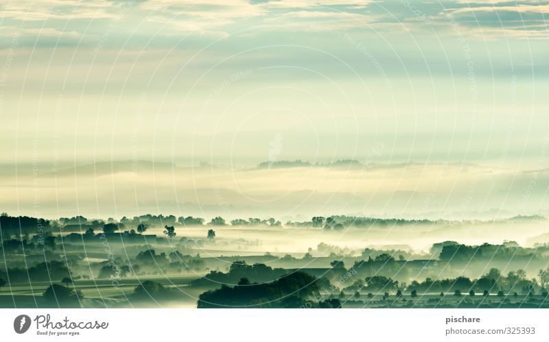 Das Mostviertel Natur Landschaft Frühling Klima Wetter Nebel dunkel grün Umwelt Österreich Farbfoto Außenaufnahme Morgendämmerung Starke Tiefenschärfe