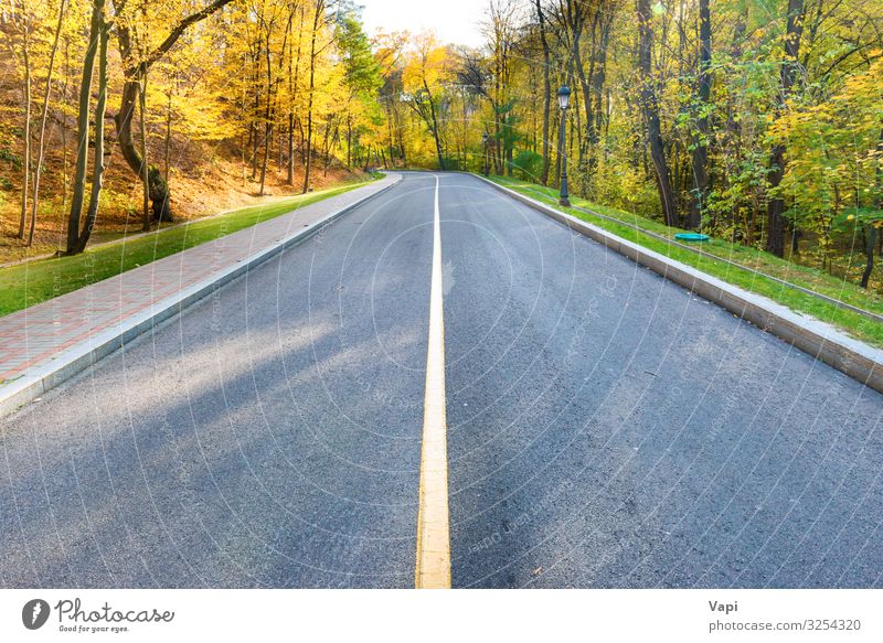 Straßen- und Herbstlandschaft Lifestyle schön Ferien & Urlaub & Reisen Ausflug Abenteuer Sommerurlaub Umwelt Natur Landschaft Sonnenaufgang Sonnenuntergang