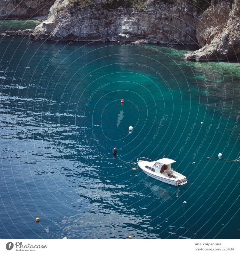 bald. Sommerurlaub Natur Wasser Schönes Wetter Felsen Bucht Meer Adria Klippe Kroatien Istrien Motorboot Hafen Boje blau türkis Freiheit Freizeit & Hobby