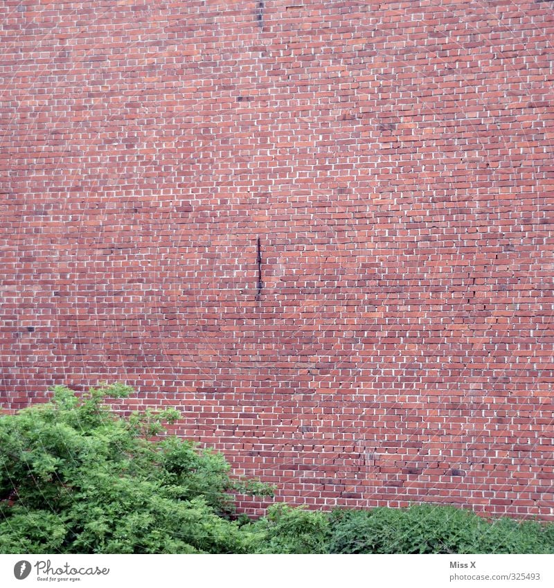 Wall Fabrik Mauer Wand Fassade rot Backstein Backsteinwand Backsteinhaus Sträucher Farbfoto Außenaufnahme Muster Menschenleer Textfreiraum oben