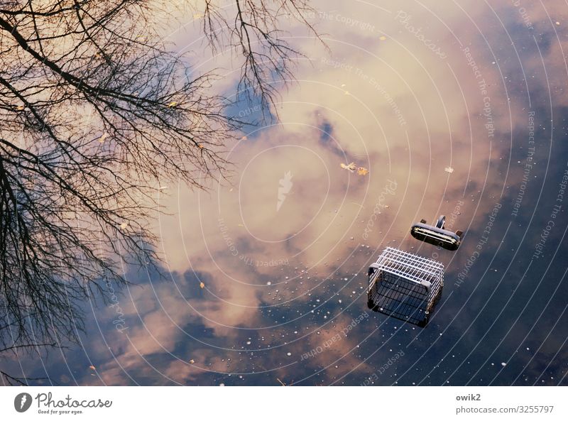 Absacker Umwelt Natur Landschaft Wasser Himmel Wolken Baum Zweige u. Äste Wasseroberfläche Teich See Einkaufswagen Metall unten Traurigkeit Sorge Schmerz