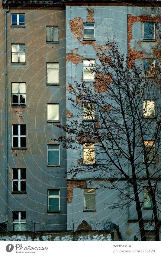 Fassade am Abend Berlin Großstadt Stadtzentrum Gebäude Hauptstadt Haus Herbst Menschenleer Berlin-Mitte Textfreiraum Stadtleben Häusliches Leben Wohngebiet