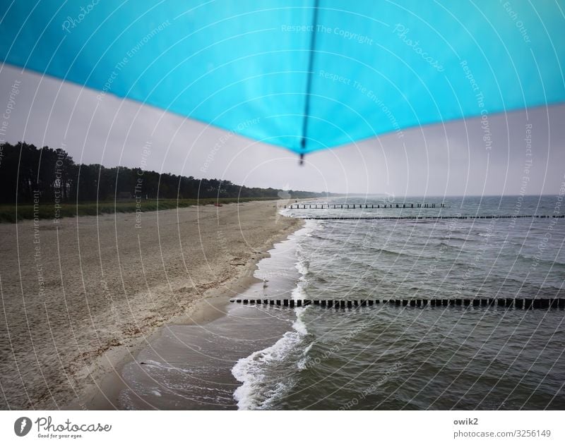 Oben nass, unten nass Umwelt Natur Landschaft Urelemente Sand Luft Wasser Himmel Wolken Horizont Herbst schlechtes Wetter Wind Regen Wald Wellen Küste Strand