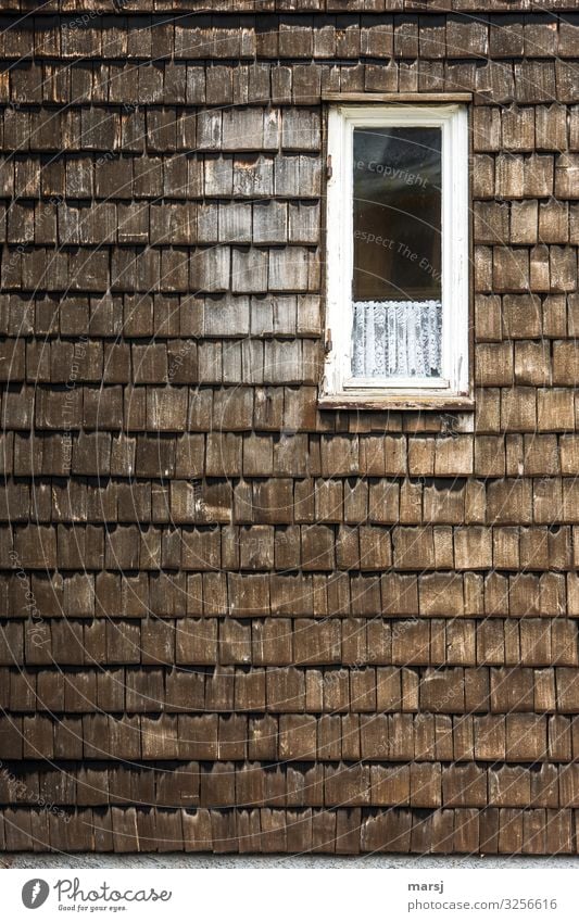 Schmales Fenster mit kurzer Gardine an schindelgedeckter Fassade Starke Tiefenschärfe Kontrast Tag Morgen Menschenleer Gedeckte Farben Farbfoto eigenwillig