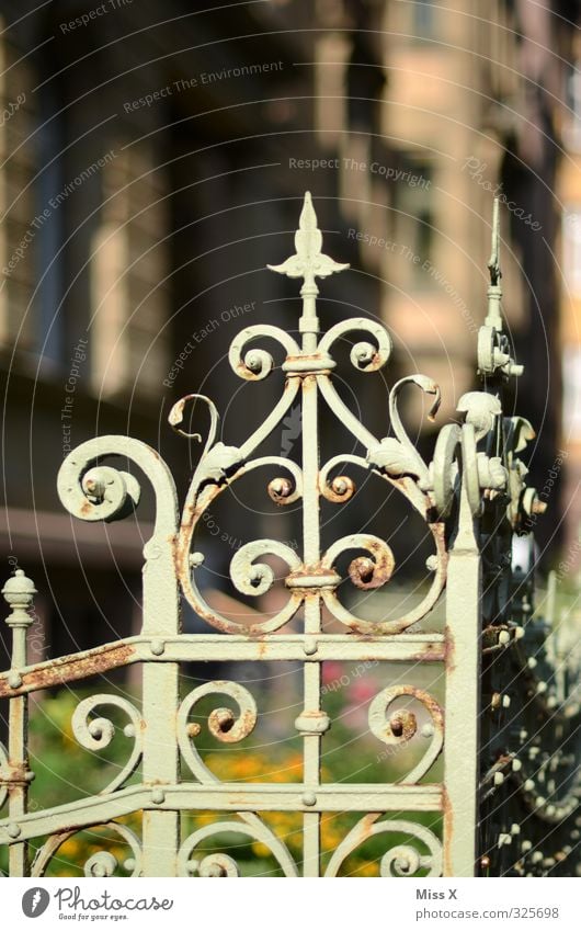 Alt Häusliches Leben Traumhaus Garten Dekoration & Verzierung Stadtrand Altstadt Kirche Palast alt historisch Jugendstil Schmiedeeisen Zaun Metallzaun Schnörkel