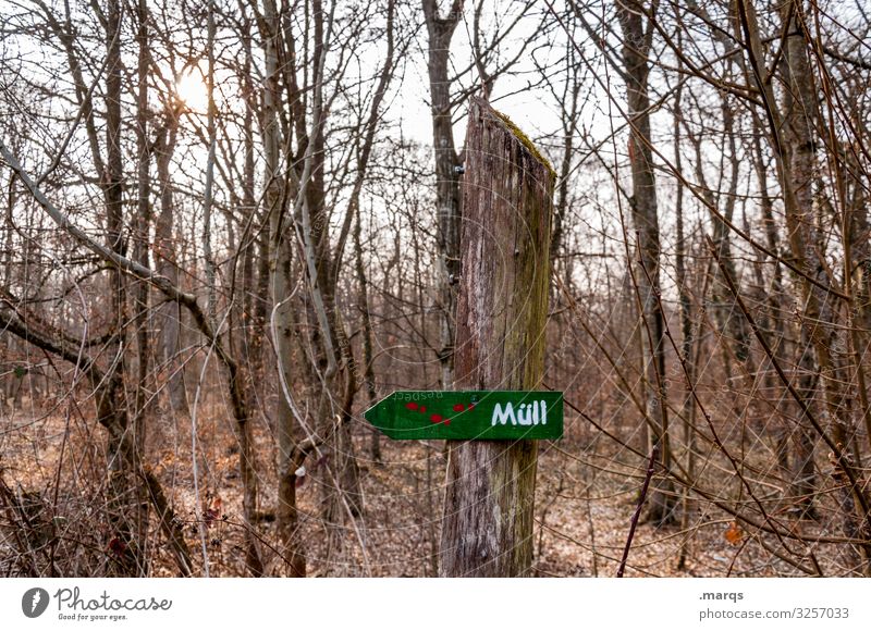 Müll im Wald karg Herbst Ast Hinweisschild Umweltschutz Baum Natur Schriftzeichen Umweltverschmutzung Schilder & Markierungen trist Landschaft Himmel