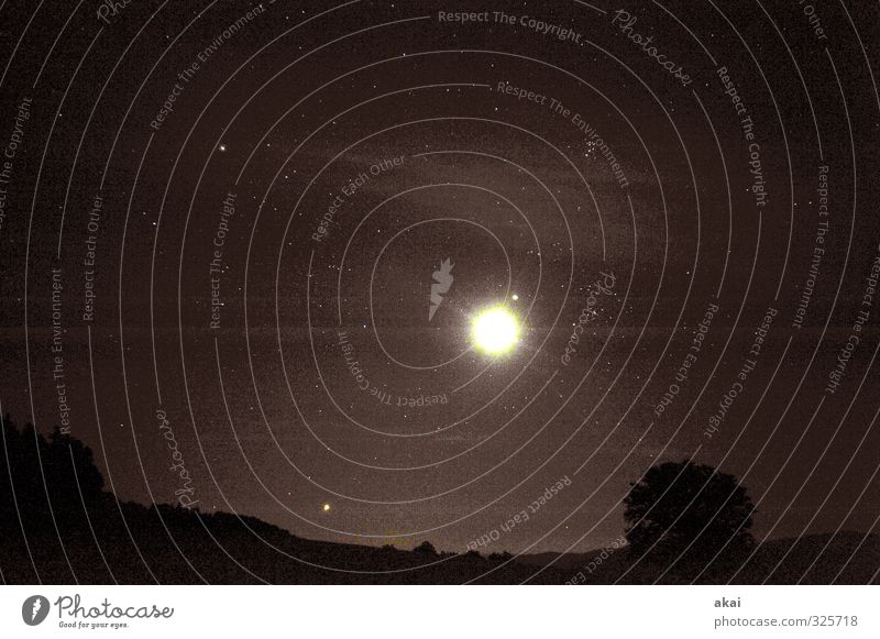 Nächtliche Stimmung mit Mond und Sternenhimmel Nacht Dämmerung Wolken Landschaft Baum unheimlich gruselig Angst Furcht hell dunkel Langzeitbelichtung Astronomie