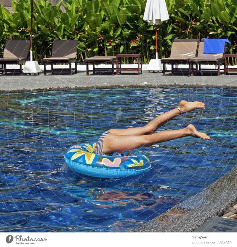 POFO Schwimmen & Baden Ferien & Urlaub & Reisen Sommer Mensch feminin Mädchen 1 Wasser Schönes Wetter Pflanze Spielen springen tauchen nass blau braun grau