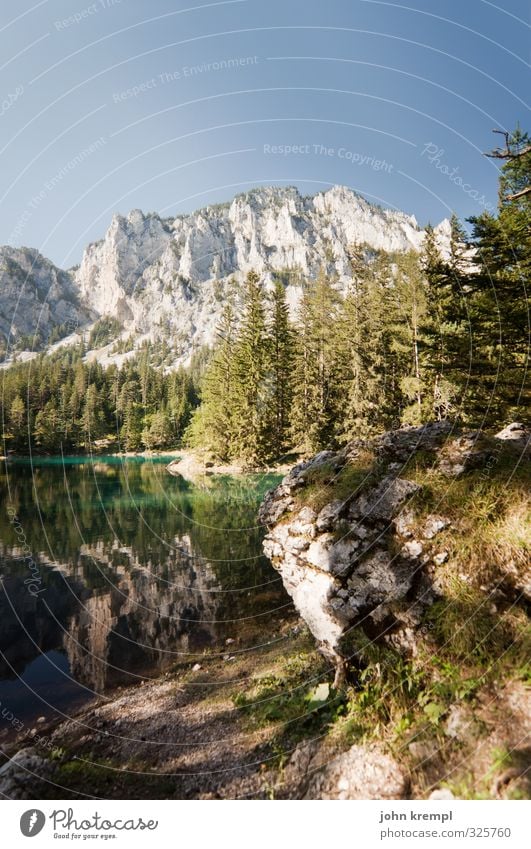 Urlaub! Umwelt Landschaft Wasser Wolkenloser Himmel Schönes Wetter Wald Alpen Berge u. Gebirge Seeufer Österreich Bundesland Steiermark Erholung authentisch