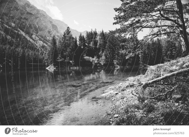 Nimmerland Umwelt Landschaft Sommer Baum Wald Berge u. Gebirge Küste Seeufer groß Kitsch Lebensfreude Romantik Gelassenheit ruhig geheimnisvoll Glück