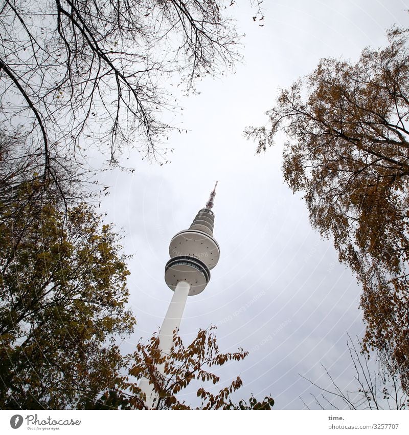 Halswirbelsäulentraining (XIX) Technik & Technologie Himmel Schönes Wetter Baum Blatt Ast Zweig Hamburg Hamburger Fernsehturm Turm Bauwerk Gebäude Architektur