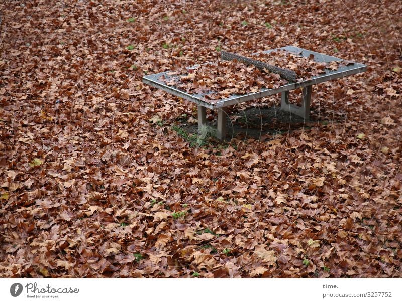 Winterpause Sportstätten Tischtennis Tischtennisplatte Umwelt Natur Herbst Blatt Herbstlaub ruhig Müdigkeit Erschöpfung Endzeitstimmung geheimnisvoll