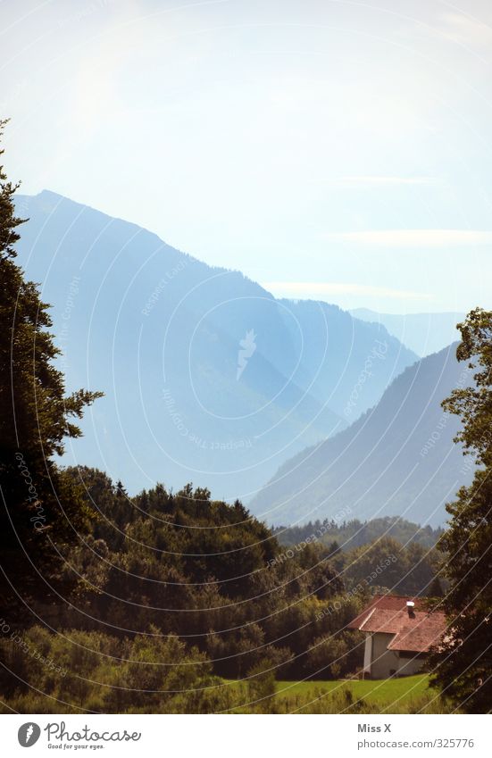 Bergdorf Erholung ruhig Ferien & Urlaub & Reisen Tourismus Sommerurlaub Berge u. Gebirge wandern Schönes Wetter Wald Alpen Gipfel Dorf Hütte Stimmung Idylle