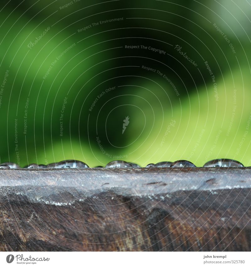 Glashaut Natur Wasser Wassertropfen Park Flüssigkeit grün ruhig Idee Idylle Lebensfreude Leichtigkeit rein Umwelt Regenwasser schillernd glänzend Farbfoto