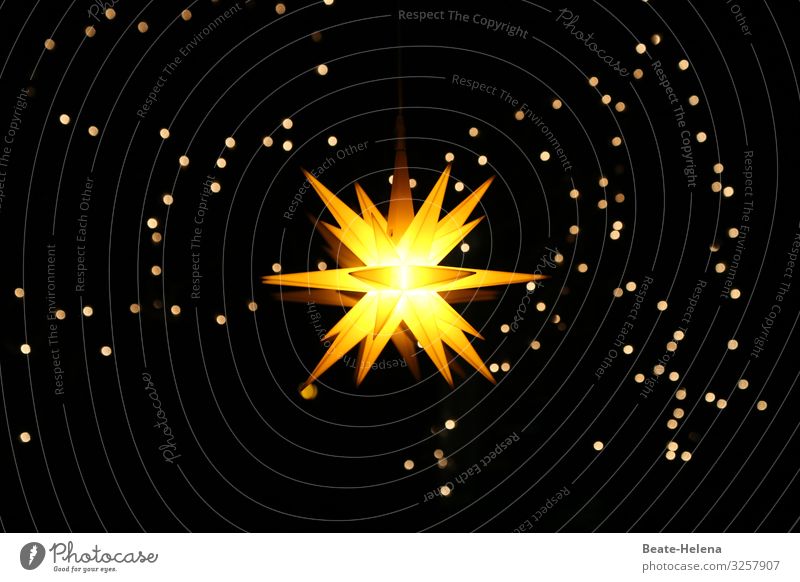 Das Licht im Dunkel Winter Wohnung Feste & Feiern Weihnachten & Advent Himmel Wolkenloser Himmel Nachthimmel Stern Dekoration & Verzierung Weihnachtsstern
