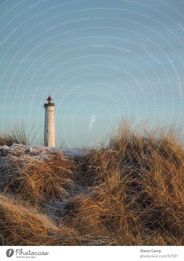 Leuchtturm Hvidesande Strand Europa Leuschtturm Dänemark Stranddüne