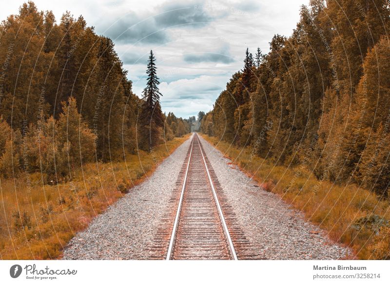 Eisenbahngleis in der Wildnis von Alaska Ferien & Urlaub & Reisen Tourismus Sommer Schnee Berge u. Gebirge wandern Natur Landschaft Baum Park Wald Fluss Verkehr