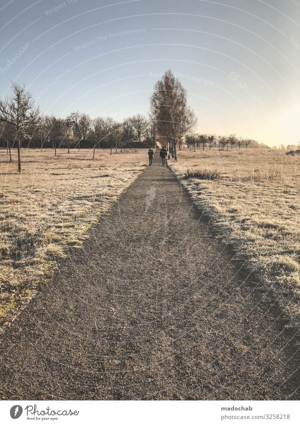 Long way home Gesundheit Wellness harmonisch Wohlgefühl Zufriedenheit Erholung Ferien & Urlaub & Reisen Tourismus Ausflug Winter Winterurlaub wandern Mensch