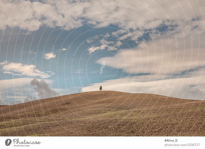 Toskana abstrakte Hügellandschaft Umwelt Natur Landschaft Erde Himmel Herbst Winter Baum Feld Landwirtschaft Italien Europa authentisch blau braun bizarr