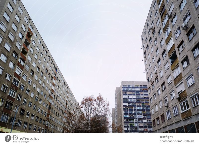 so leben wir Stadt Haus Hochhaus Bauwerk Gebäude Architektur Mauer Wand Zukunftsangst gefährlich Häusliches Leben Plattenbau grau dunkel Fenster Beton