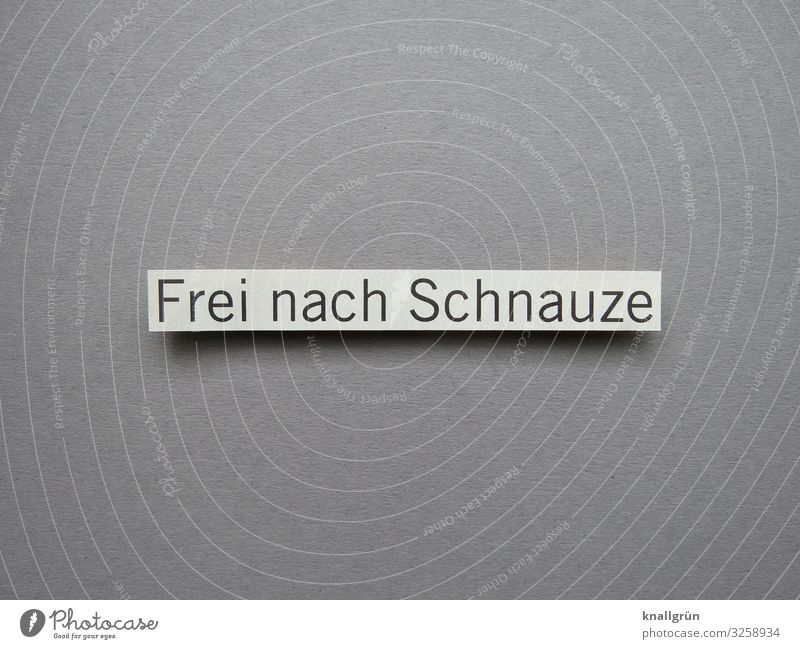 Frei nach Schnauze unverblümt direkt Meinung frei schnauze sagen reden sprechen Kommunizieren Kommunikation Farbfoto Hintergrund neutral Schriftzeichen