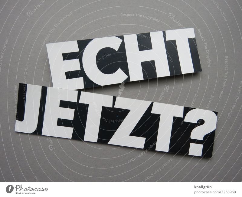 Echt jetzt? Entsetzen wundern Irritation Fragen Kommunizieren Schock Gefühle Neugier Buchstaben Wort Satz Text Kommunikation Typographie Schriftzeichen Sprache