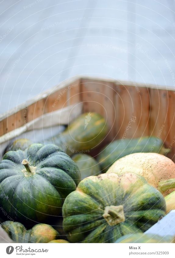 Kürbis Lebensmittel Gemüse Ernährung Bioprodukte Vegetarische Ernährung frisch Gesundheit lecker grün Gesunde Ernährung Kürbiszeit Marktstand Gemüsehändler