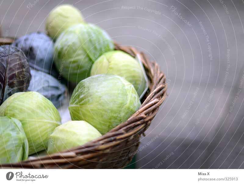 Cool Gemüse Salat Salatbeilage Ernährung Essen Bioprodukte Vegetarische Ernährung Diät frisch Gesundheit lecker Wochenmarkt Gemüsehändler Gemüseladen Rotkohl