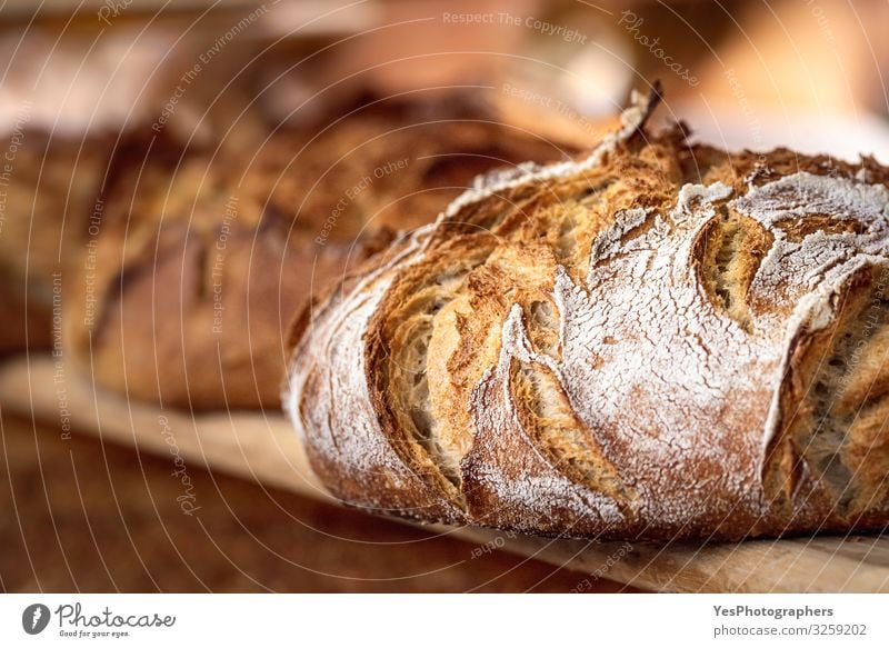 Sauerteigbrot mit knuspriger Kruste auf Holzregal. Bäckereiwaren Teigwaren Backwaren Brot Brötchen Ernährung kaufen Gesunde Ernährung Tradition Schwarzbrot