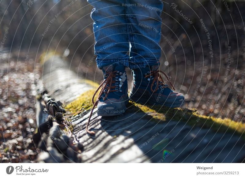 Wanderung mit Kind Kindererziehung Kindergarten Kindheit 1 Mensch 1-3 Jahre Kleinkind Umwelt Natur Baum Wald Stiefel wandern Akzeptanz Vertrauen Sicherheit