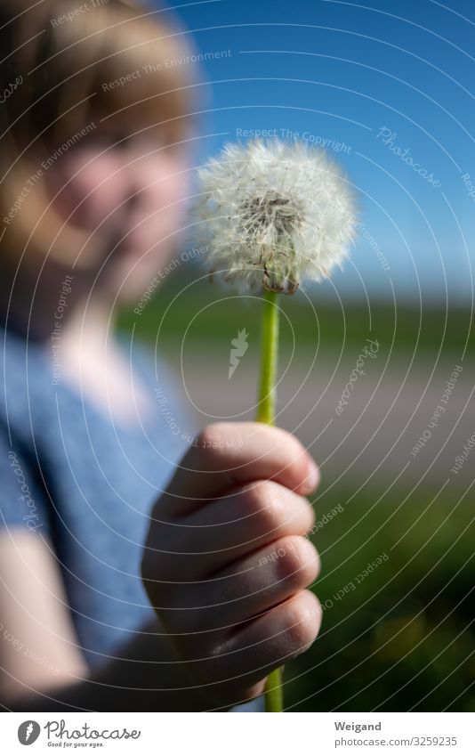 Dankeschön Feste & Feiern Muttertag Ostern Geburtstag Taufe Kleinkind Mädchen Kindheit 3-8 Jahre Pflanze Blume frei Freundlichkeit Fröhlichkeit Freude Glück