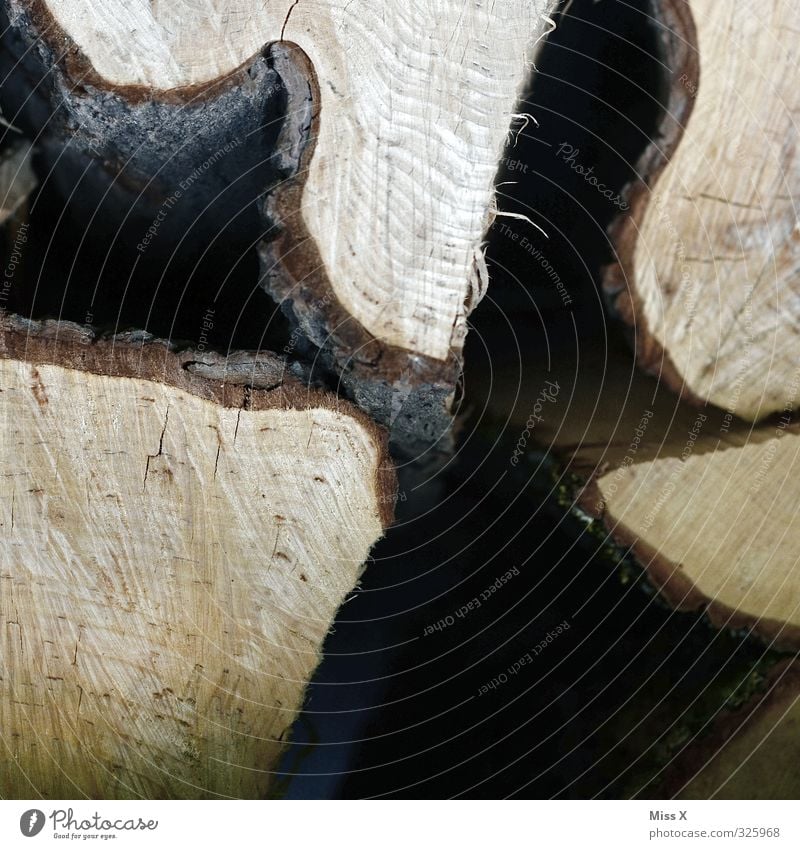 Baumaterial / Holz vor der Hütte braun Baumstamm Brennholz Holzstapel Baumrinde Jahresringe Wellenform Säge Farbfoto Nahaufnahme Detailaufnahme