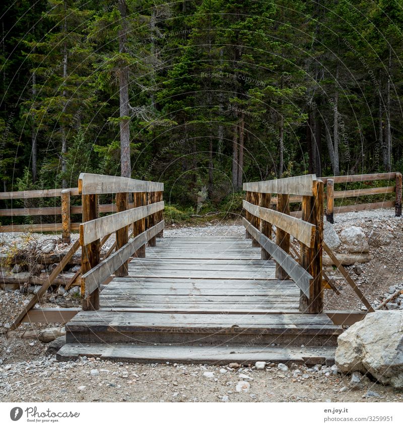 Holzbrücke über leeres Flussbett mit Wald im Hintergrund Brücke Steg Holzsteg trocken Geröll Felsen Steine Tannen Nadelbäume Nadelwald Wege & Pfade Geländer