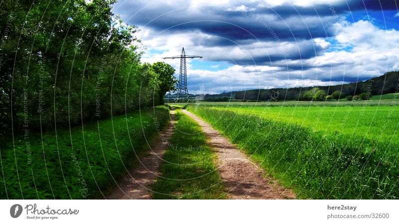 Feldweg Gras grün Himmel Wege & Pfade Idylle blau