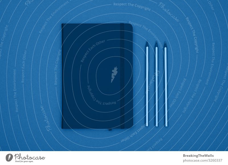 Nahaufnahme Lederhülle Notizbuch flach über blau gelegt Schreibtisch Tisch Büro sprechen maskulin Buch Schreibwaren Papier oben Farbe Hintergrund Bleistift