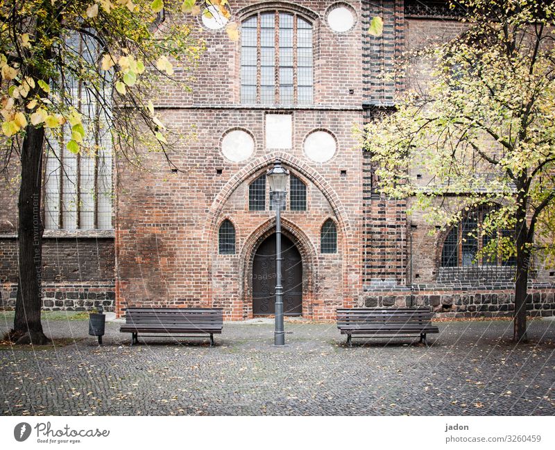 ruheplatz. Ausflug Herbst Baum Brandenburg an der Havel Stadt Menschenleer Haus Kirche Platz Gebäude Architektur Mauer Wand alt Ordnung Bank Portal Fenster