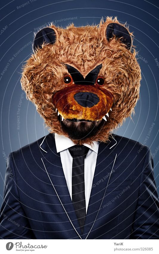 BB business bear Büroarbeit Mensch Kopf Haare & Frisuren 1 Anzug Fell Krawatte Tier skurril Bär Surrealismus lustig Farbfoto Studioaufnahme Hintergrund neutral