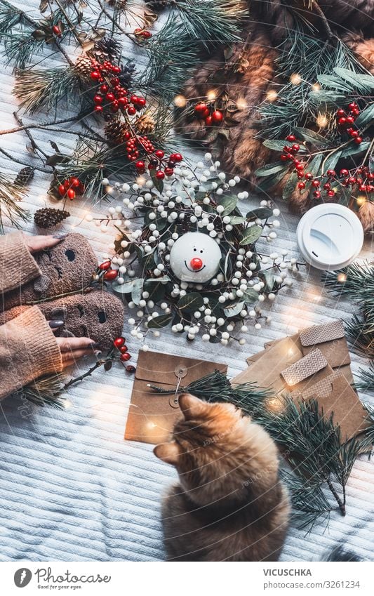 Winterstimmung und Weihnachtsgeschenke Vorbereitung Lifestyle Stil Freude Häusliches Leben Weihnachten & Advent Frau Erwachsene Hand Haustier Katze