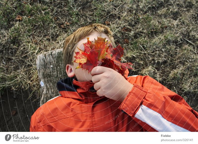 Herbst maskulin Kind Junge Jugendliche Hand 1 Mensch 8-13 Jahre Kindheit Natur Blatt mehrfarbig rot verstecken liegen schlafen Winterschlaf herbstlich Bank