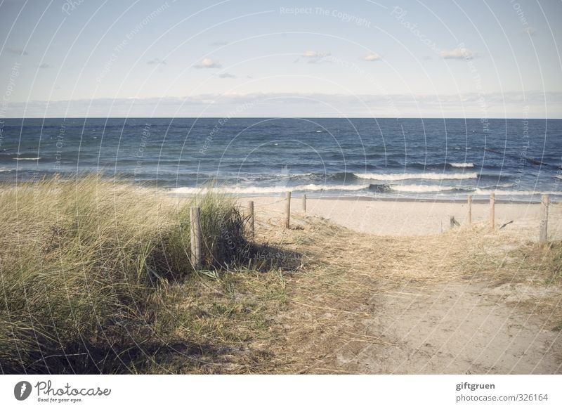 weg zum meer Umwelt Natur Landschaft Pflanze Urelemente Erde Sand Wasser Himmel Wolken Horizont Schönes Wetter Gras Grünpflanze Wellen Küste Strand Ostsee Meer