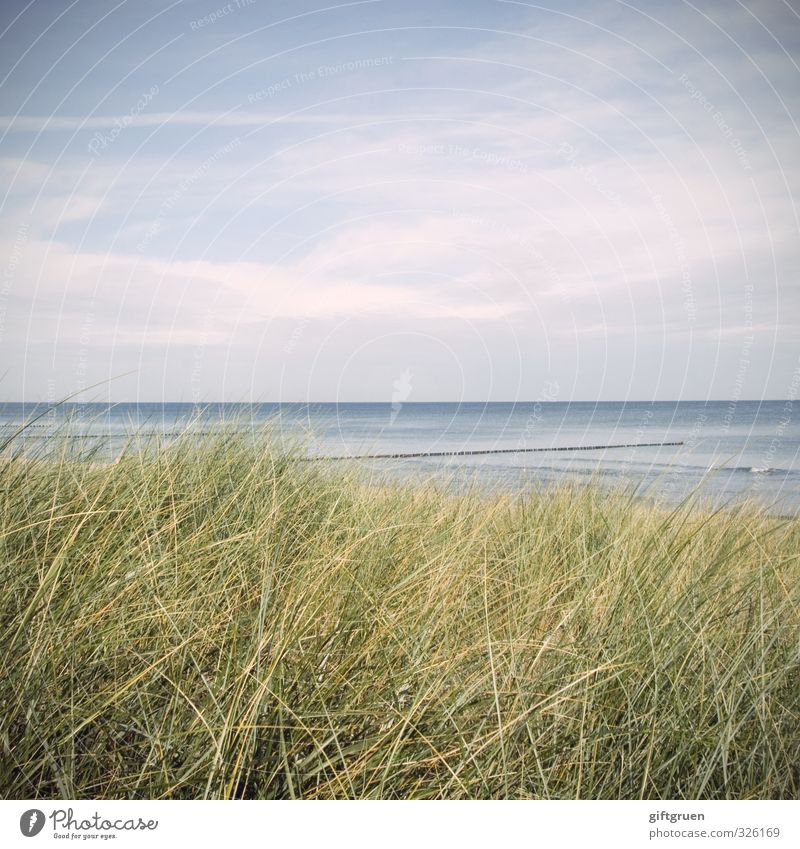 blau-grün Umwelt Natur Landschaft Pflanze Urelemente Wasser Himmel Wolken Schönes Wetter Gras Grünpflanze Wellen Küste Strand Ostsee Meer natürlich Düne