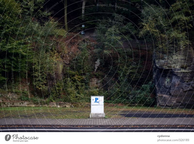 P Umwelt Natur Landschaft Baum Wald Felsen Berge u. Gebirge Straße Wege & Pfade Schriftzeichen Schilder & Markierungen ästhetisch Einsamkeit entdecken Freiheit