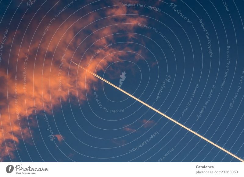 Flugverkehr am Abendhimmel Umwelt nur Himmel Gewitterwolken Klimawandel Schönes Wetter Luftverkehr Passagierflugzeug Kondensstreifen berühren Bewegung Ferne