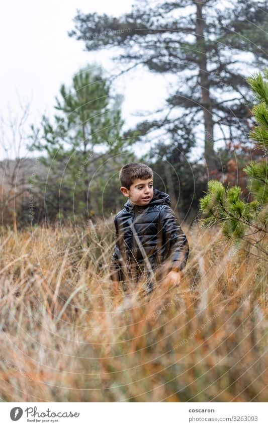 Süßer kleiner Junge im Wald an einem nebligen Tag Lifestyle schön Erholung Ferien & Urlaub & Reisen Winter Berge u. Gebirge wandern Kind Mensch maskulin Baby