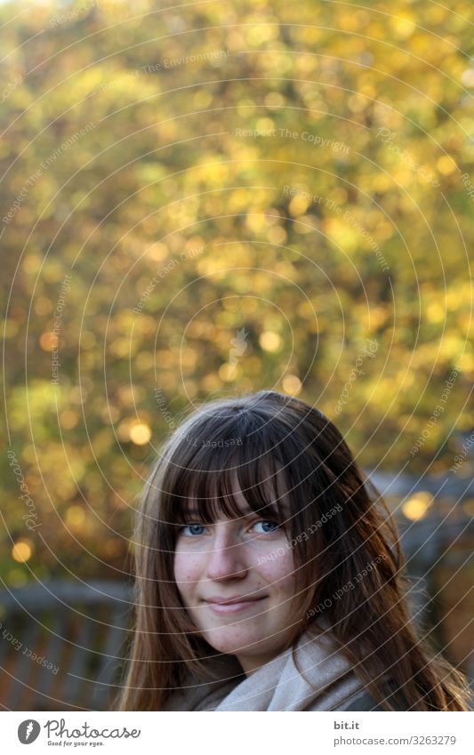 Junge Frau, in der Natur, im Herbst. Ferien & Urlaub & Reisen Tourismus Ausflug Mensch feminin Jugendliche Umwelt Pflanze Baum Park Wald Stimmung Freude Glück