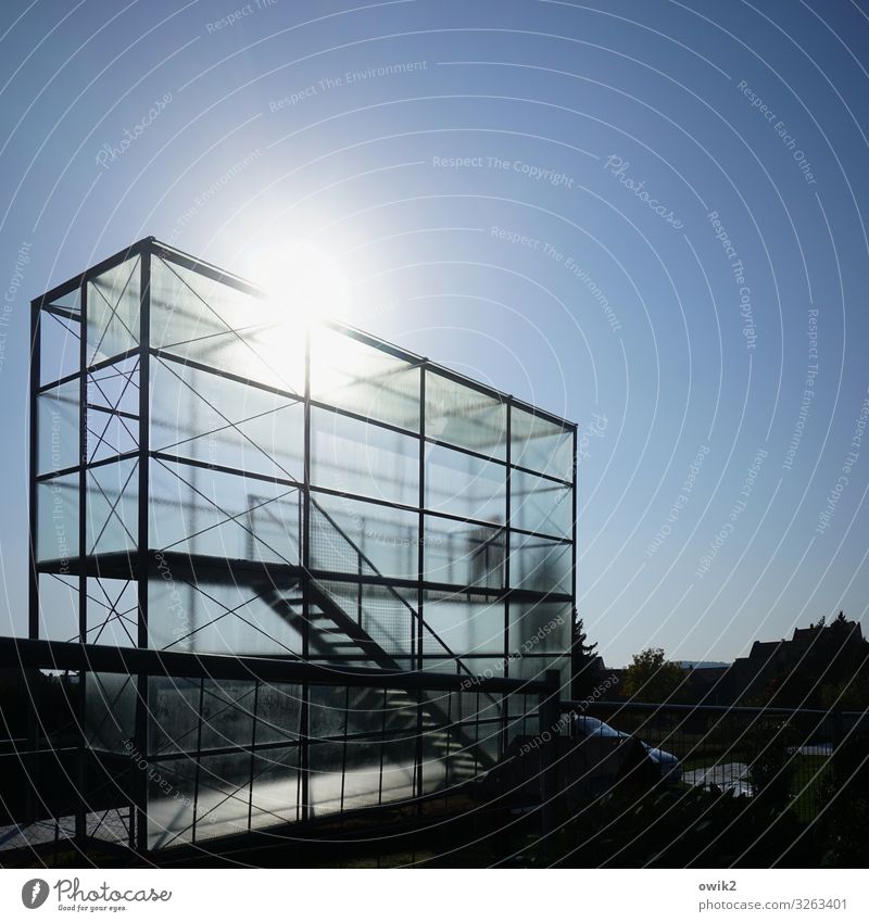 Ansichtssache maskulin 1 Mensch Wolkenloser Himmel Sonne Schönes Wetter Bamberg Stadt Stadtzentrum Bauwerk Gebäude Aussicht Gewächshaus Mauer Wand Treppe