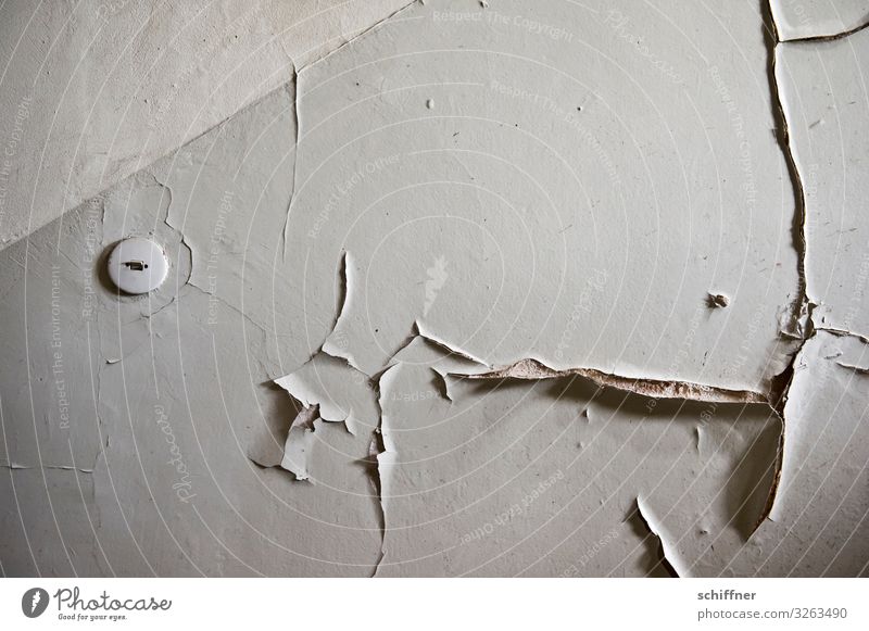 Der Letzte macht das Licht aus Mauer Wand alt kaputt Lichtschalter Treppenhaus lost places trist abblättern Putzfassade grau Wohnung Wohnungssuche