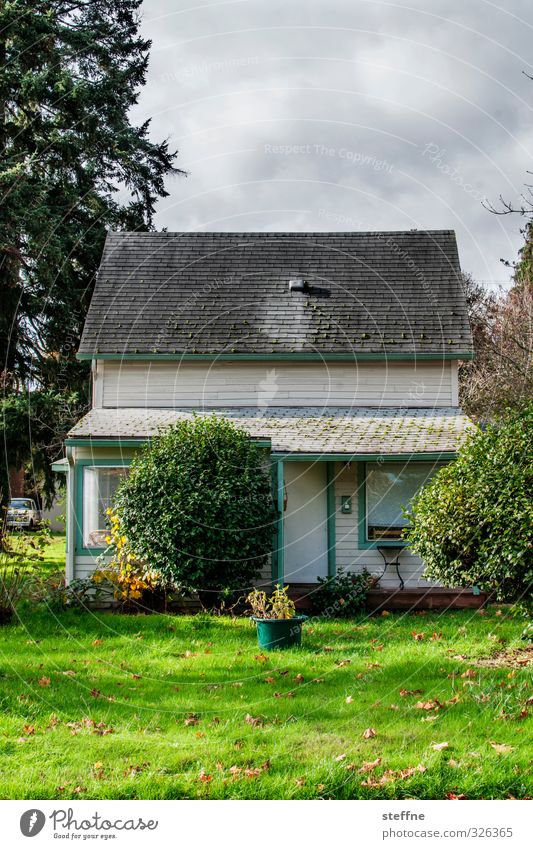 Idylle Herbst Schönes Wetter Baum Garten Wiese eugene USA Kleinstadt Stadtrand Haus Einfamilienhaus Hütte ruhig Stil Farbfoto Außenaufnahme